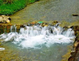 दून की रानी गुच्चुपानी